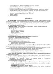 Prekių transportavimas 2 puslapis