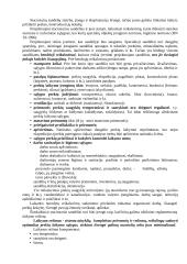 Prekių transportavimas 3 puslapis