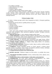 Prekių transportavimas 4 puslapis