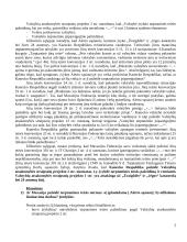 Tarptautinės teisės kazuso nagrinėjimas 2 puslapis