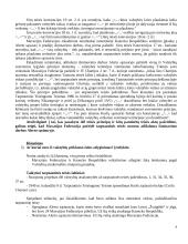 Tarptautinės teisės kazuso nagrinėjimas 4 puslapis