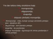 Rinkos struktūra 7 puslapis