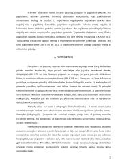 Prievolių įvykdymo užtikrinimo būdai ir laidavimas 2 puslapis