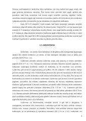 Prievolių įvykdymo užtikrinimo būdai ir laidavimas 4 puslapis