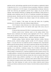 Prievolių įvykdymo užtikrinimo būdai ir laidavimas 5 puslapis