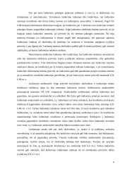 Prievolių įvykdymo užtikrinimo būdai ir laidavimas 6 puslapis