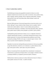 Sienų ir pertvarų konstrukcijos 12 puslapis