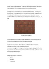 Sienų ir pertvarų konstrukcijos 5 puslapis