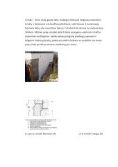 Sienų ir pertvarų konstrukcijos 6 puslapis