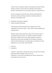 Sienų ir pertvarų konstrukcijos 7 puslapis