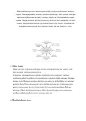 Sienų ir pertvarų konstrukcijos 9 puslapis