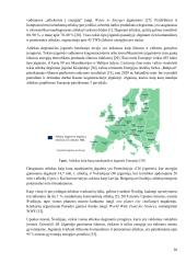 Energijos gamybos efektyvumo didinimas ir poveikio aplinkai mažinimas nepavojingų atliekų deginimo įrenginiuose 17 puslapis