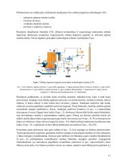 Energijos gamybos efektyvumo didinimas ir poveikio aplinkai mažinimas nepavojingų atliekų deginimo įrenginiuose 18 puslapis