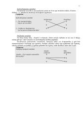 Profesinio bendravimo pagrindai - paskaitų medžiaga 11 puslapis