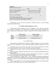 Profesinio bendravimo pagrindai - paskaitų medžiaga 12 puslapis