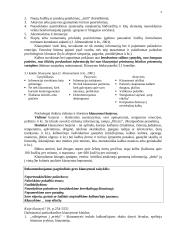 Profesinio bendravimo pagrindai - paskaitų medžiaga 4 puslapis