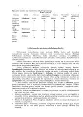 Profesinio bendravimo pagrindai - paskaitų medžiaga 6 puslapis