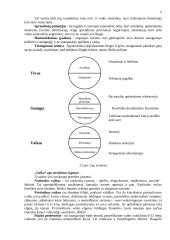 Profesinio bendravimo pagrindai - paskaitų medžiaga 8 puslapis