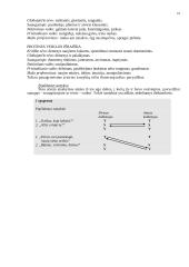 Profesinio bendravimo pagrindai - paskaitų medžiaga 10 puslapis