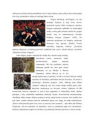 Pragaro skirtingos sampratos įvairių laikotarpių dailės kūriniuose 5 puslapis
