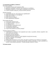 Profesinis bendravimas 11 puslapis