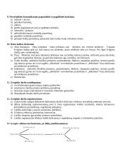 Profesinis bendravimas 4 puslapis