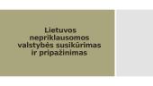 Lietuva Pirmojo Pasaulinio karo metais (skaidrės) 10 puslapis