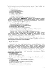 Projektų valdymas 11 puslapis