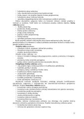 Projektų valdymas 12 puslapis