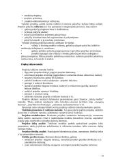 Projektų valdymas 13 puslapis