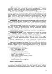 Projektų valdymas 14 puslapis