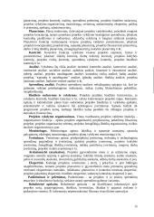 Projektų valdymas 15 puslapis