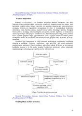 Projektų valdymas 18 puslapis