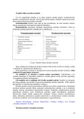 Projektų valdymas 20 puslapis