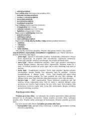 Projektų valdymas 5 puslapis