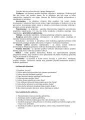 Projektų valdymas 7 puslapis