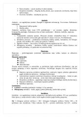 Psichosomatikos įvadas 20 puslapis