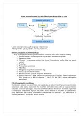 Psichosomatikos įvadas 3 puslapis