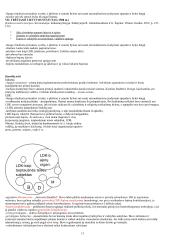 Teisės istorijos santrauka 13 puslapis