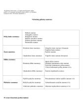 Raumenų mokslas 7 puslapis