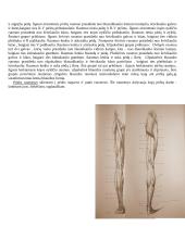 Raumenų mokslas 9 puslapis