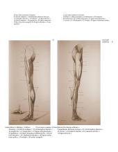 Raumenų mokslas 10 puslapis