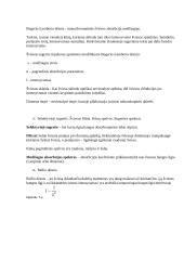 Elektromagnetinės bangos, šviesa, difrakcija 11 puslapis