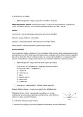 Elektromagnetinės bangos, šviesa, difrakcija 6 puslapis