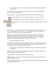 Elektromagnetinės bangos, šviesa, difrakcija 10 puslapis