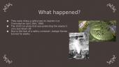 The Chernobyl disaster 2 puslapis