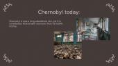 The Chernobyl disaster 7 puslapis