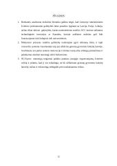 Švietimo prieinamumas nuteistiesiems 11 puslapis