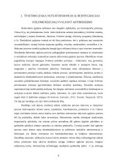 Švietimo prieinamumas nuteistiesiems 7 puslapis