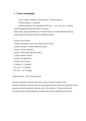 Kylančios etinės problemos biudžetinėse įstaigose 3 puslapis